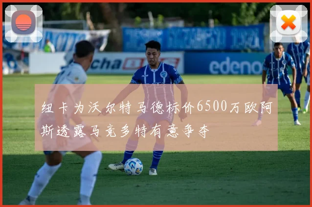 纽卡为沃尔特马德标价6500万欧阿斯透露马竞多特有意争夺